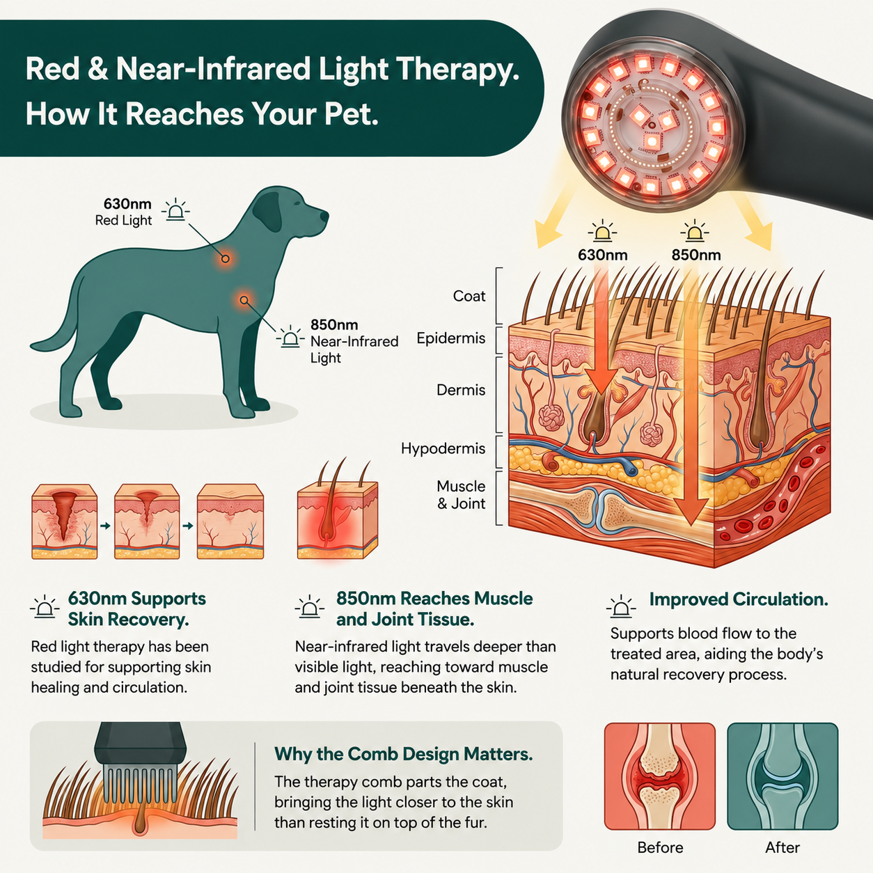 Red Light Therapy Brush